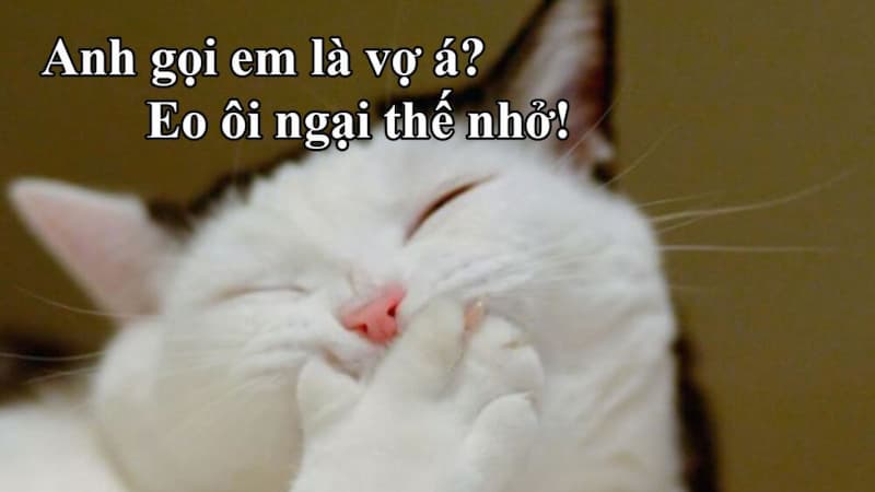 Hình ảnh meme hot mới nhất
