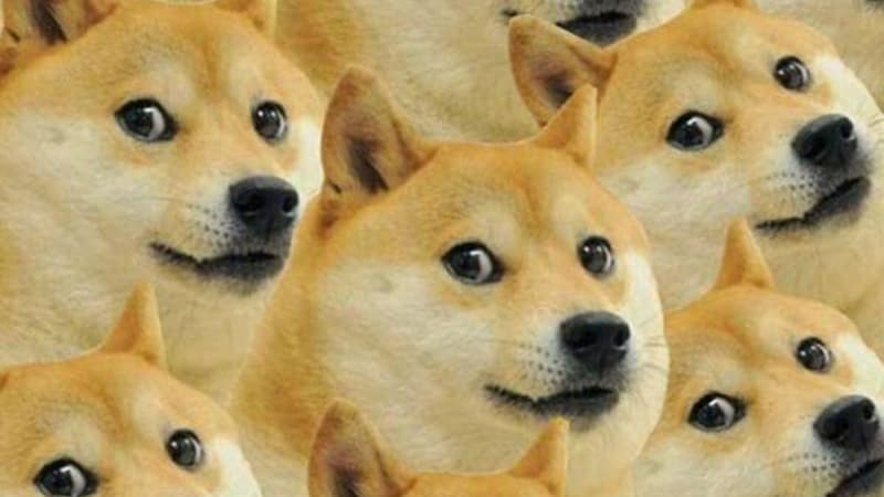 Hình ảnh meme hot mới nhất