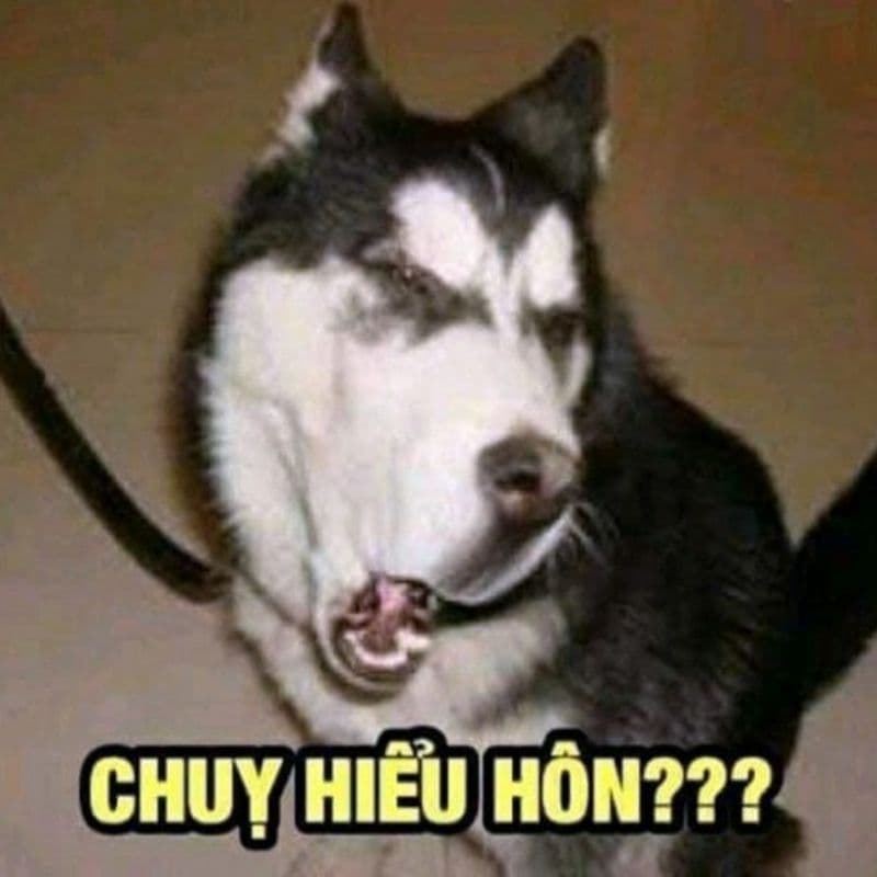 Meme avatar hài bựa