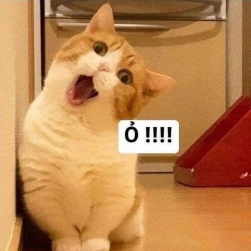 Meme avatar hài bựa