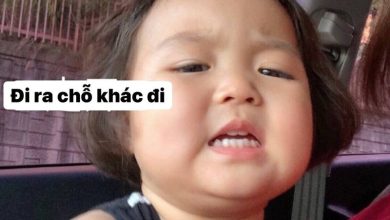 Meme em bé siêu đáng yêu và vui nhộn
