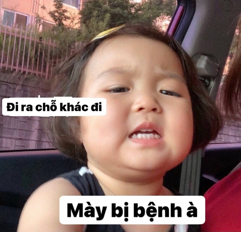 Meme em bé siêu đáng yêu và vui nhộn