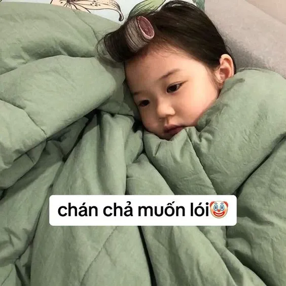 Tổng hợp ảnh meme bất lực hài hước nhất