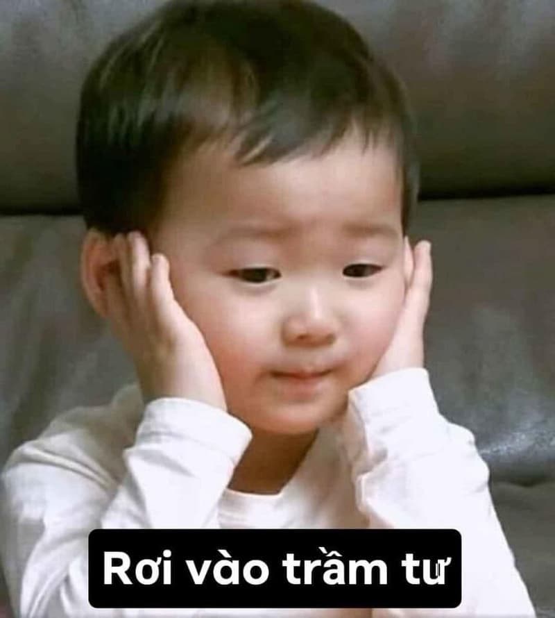 Tổng hợp ảnh meme bất lực hài hước nhất