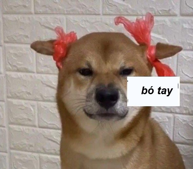 Tổng hợp ảnh meme bất lực hài hước nhất